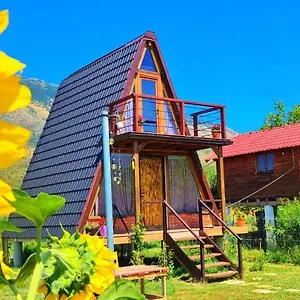 Life On The Farm , Nepravishte Albania